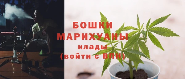 индика Покачи