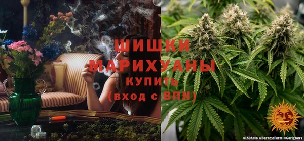 дживик Покровск
